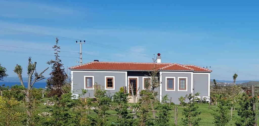 Adayel Bagevi & Butik Otel Bozcaada Kültér fotó